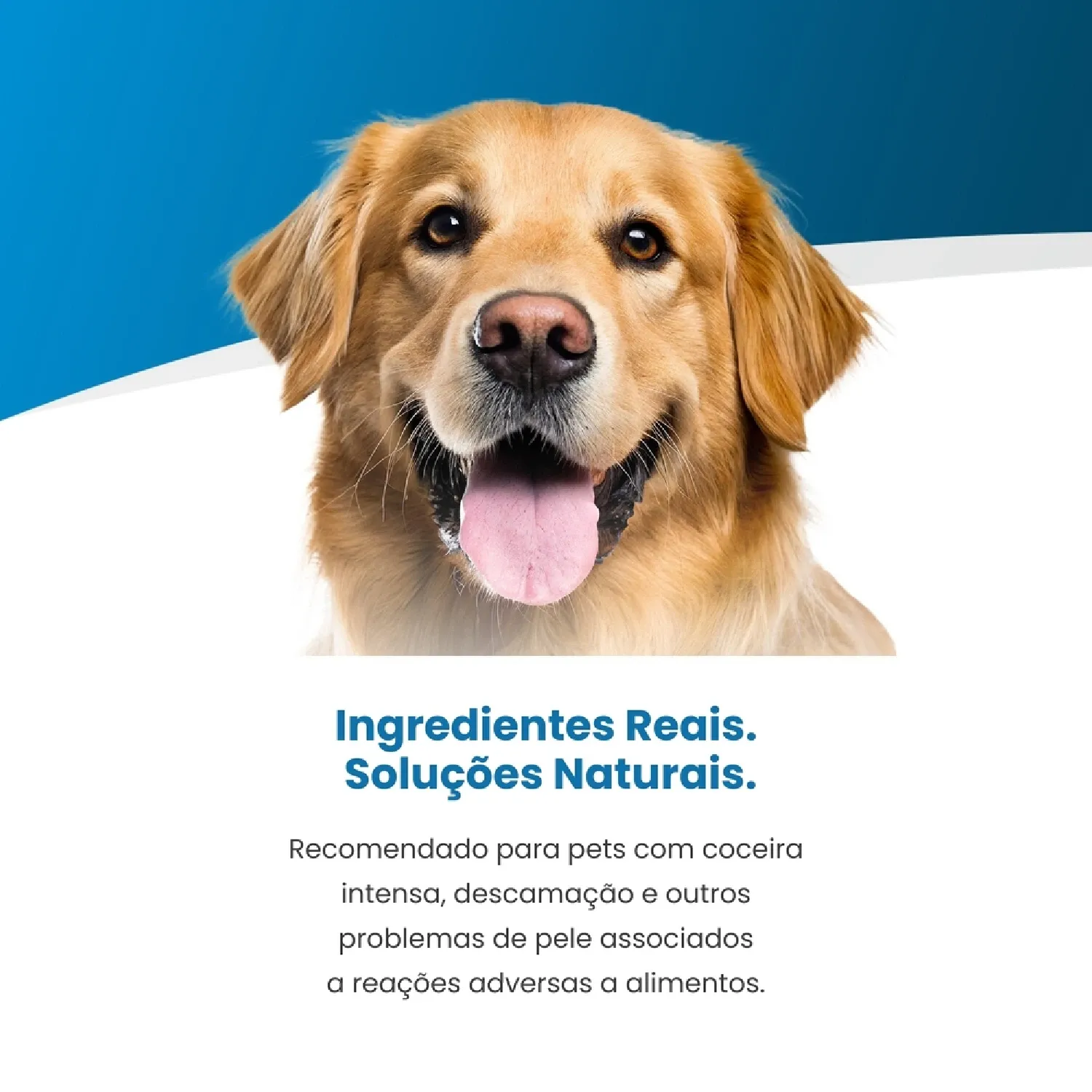 Racao Umida Vet Life Caes Hipoalergenico 4